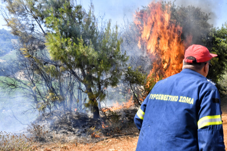 Β. Κικίλιας: Η πυρκαγιά στα Καλύβια Θορικού εντοπίστηκε από drone της Πυροσβεστικής και τέθηκε υπό έλεγχο σε 20 λεπτά