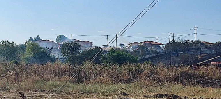 Πυρκαγιά στην περιοχή Πανόραμα Διδυμοτείχου
