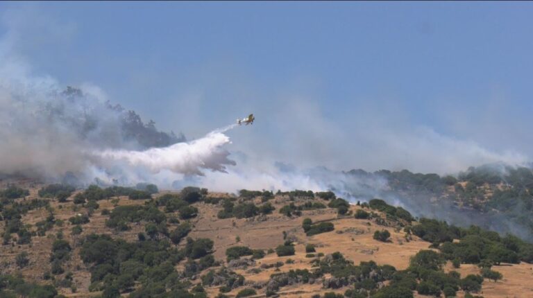 Φωτιά σε χαμηλή βλάστηση στη Σαλμώνη Ροδόπης – Επιχειρούν 7 εναέρια μέσα