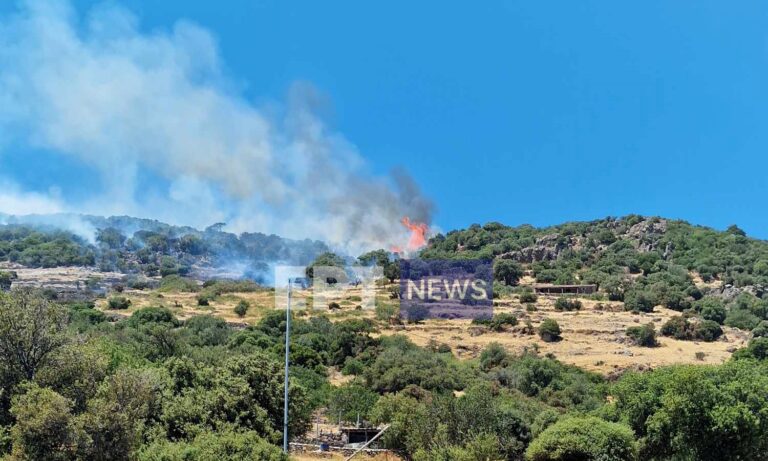 Χωρίς ενεργό μέτωπο η φωτιά στο Μανταμάδο Λέσβου – Υπό έλεγχο στις Καμάρες Καλλονής