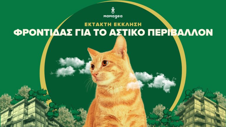 Περιβαλλοντική οργάνωση Μαμαγαία: Βοηθήστε τα ζώα και τα φυτά της γειτονιάς σας στον καύσωνα