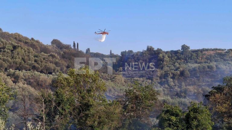 Μεσσηνία: Οριοθετήθηκε η φωτιά στο Νεοχώρι του δήμου Οιχαλίας