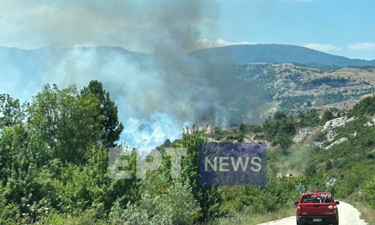 Καστοριά: Πυρκαγιά σε δασική έκταση έξω από το χωριό Μελάνθιο – Αναζητείται ύποπτο όχημα (βίντεο)