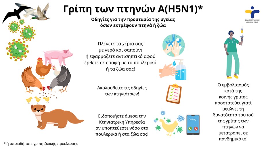 Γρίπη των πτηνών: Διαρκώς αυξανόμενη απειλή – Σε ετοιμότητα ο ΕΟΔΥ