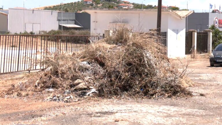 Χαλκιδική: Λόφοι από εύφλεκτα υλικά μετά τον καθαρισμό των οικοπέδων