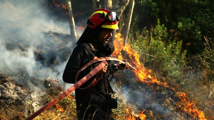 Σε εξέλιξη για τρίτη ημέρα οι φωτιές σε Φαλακρό και Πάικο- Υπό πλήρη έλεγχο η πυρκαγιά σε άλσος της Βέροιας