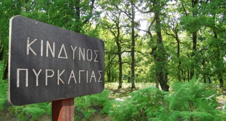 Έρευνα «Πυρκαγιές» στο Πρώτο Πρόγραμμα: Μονόδρομος η διαχείριση δασών (audio)