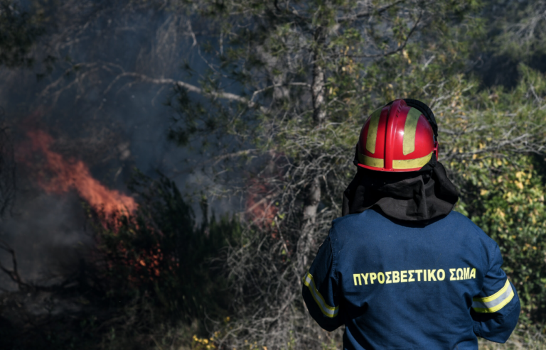 Θεσσαλονίκη: Υπό έλεγχο οι φωτιές σε Περιστερά Θέρμης και Νέα Ρόδα Χαλκιδικής