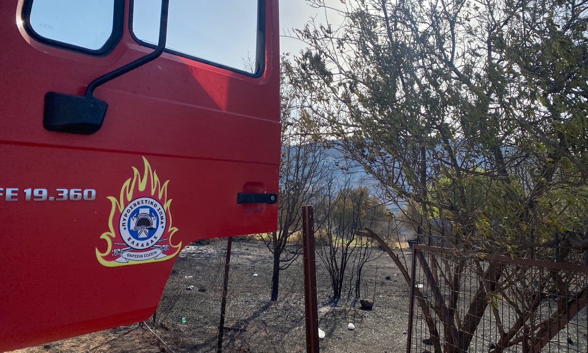 Αχαΐα: Πυρκαγιά σε δασική έκταση στην Άρλα – Την “έπιασαν” οι πυροσβέστες