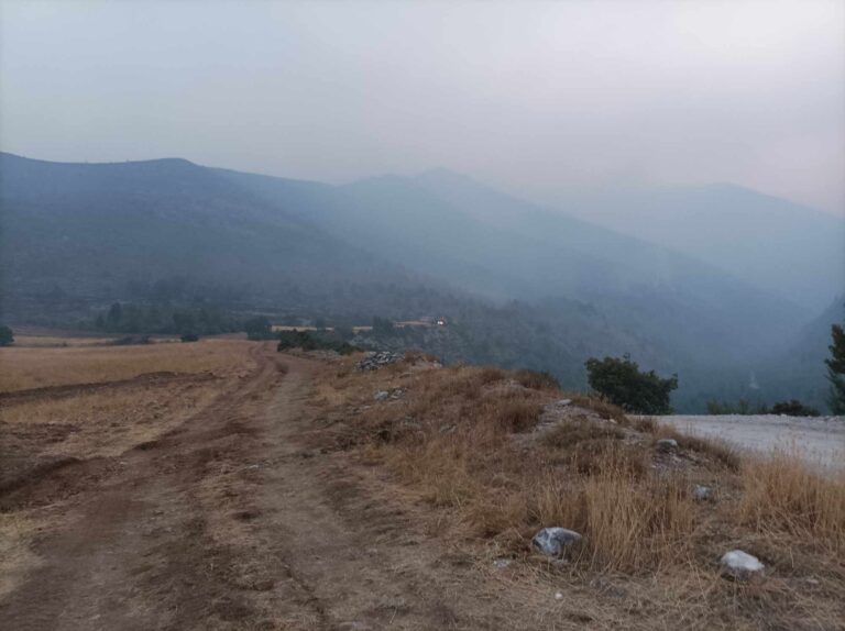 Σέρρες: Καλύτερη εικόνα της φωτιάς στο Αχλαδοχώρι (βίντεο)