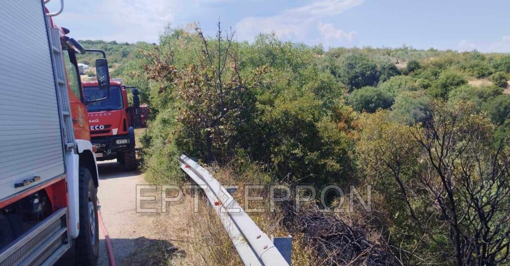 Σέρρες: Άμεση επέμβαση της πυροσβεστικής σε φωτιά στην Τριανταφυλλιά του Δήμου Βισαλτίας