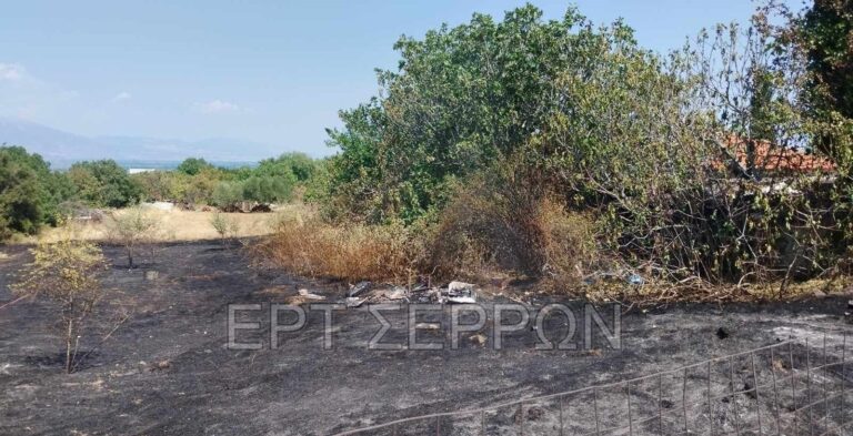 Σέρρες: Άμεση επέμβαση της πυροσβεστικής σε φωτιά στην Τριανταφυλλιά του Δήμου Βισαλτίας