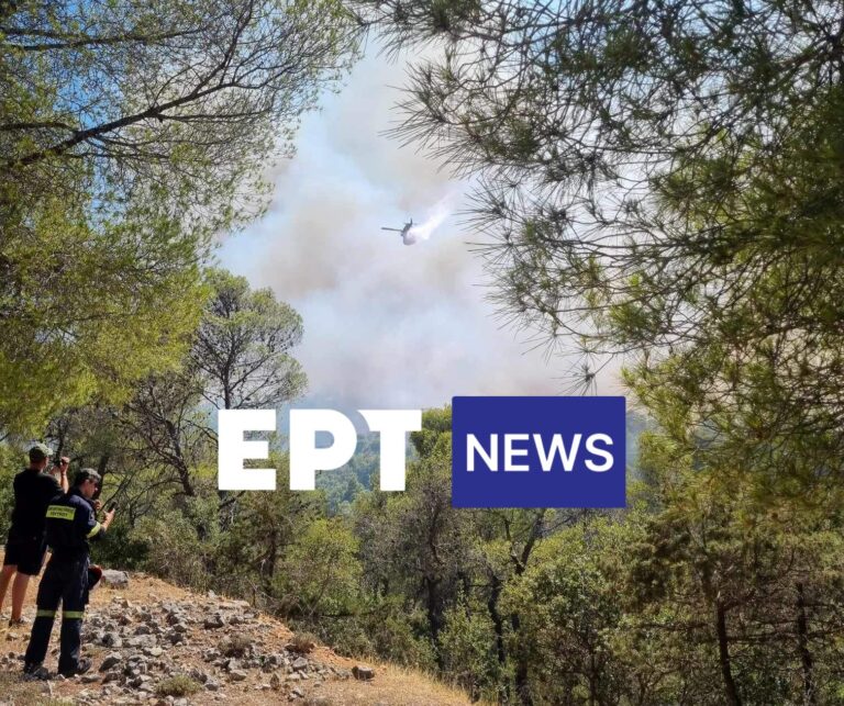 Κορινθία: Δασική πυρκαγιά στο Σοφικό – Μήνυμα από το 112 και διακοπή κυκλοφορίας – Τρεις τραυματίες πυροσβέστες (βίντεο)