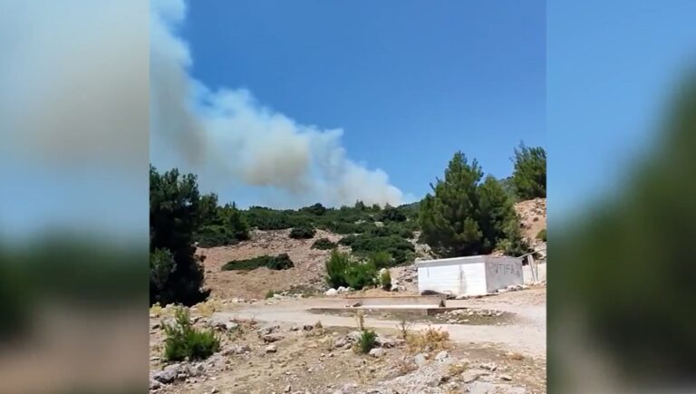 Φωτιά στις Ερυθρές Αττικής – Εκκενώθηκε προληπτικά κατασκήνωση στα Βίλια