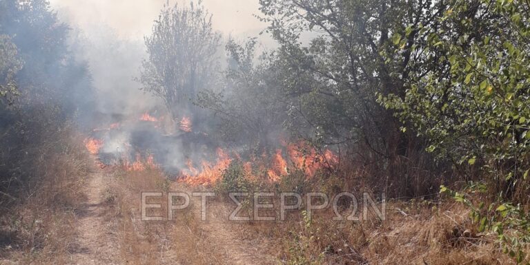 Κρηνίδα Σερρών: Άμεση επέμβαση της πυροσβεστικής για την οριοθέτηση της πυρκαγιάς