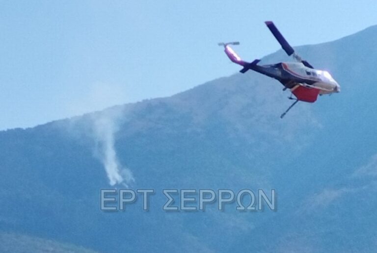 Σέρρες: Ανεξέλεγκτη μαίνεται για δεύτερη ημέρα η φωτιά στο όρος Όρβηλος (βίντεο)
