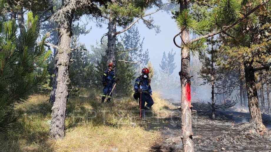 Σέρρες: Για 12η μέρα συνεχίζει η φωτιά στο Όρος Όρβηλος (φωτογραφίες)
