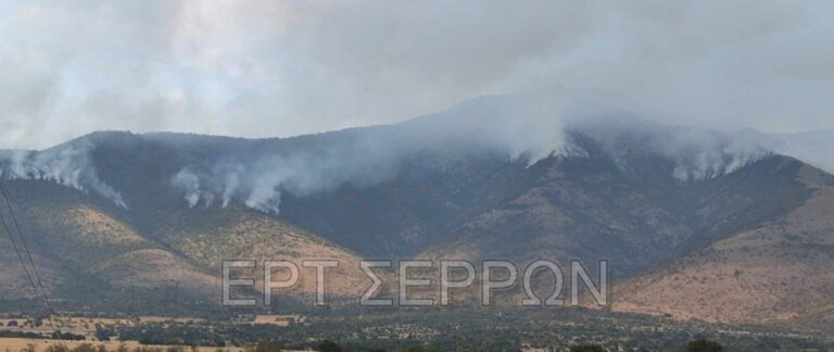 Σέρρες: Μαίνεται για πέμπτη ημέρα η φωτιά στο όρος Όρβηλος – Ναρκοθετημένη και δύσβατη η περιοχή (βίντεο)