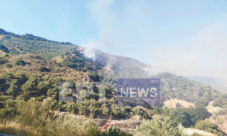 Χανιά: Καλύτερη η εικόνα στην φωτιά του Σελίνου – Συνεχίζουν να επιχειρούν επίγειες δυνάμεις και εθελοντές
