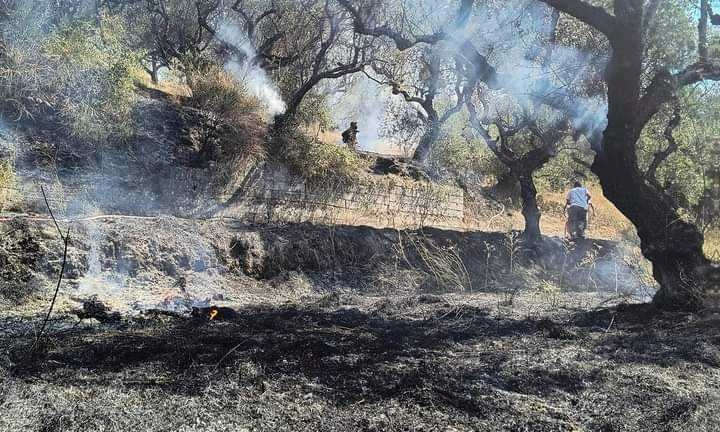 Οριοθετήθηκε η πυρκαγιά στην περιοχή Φιολίτης Ζακύνθου