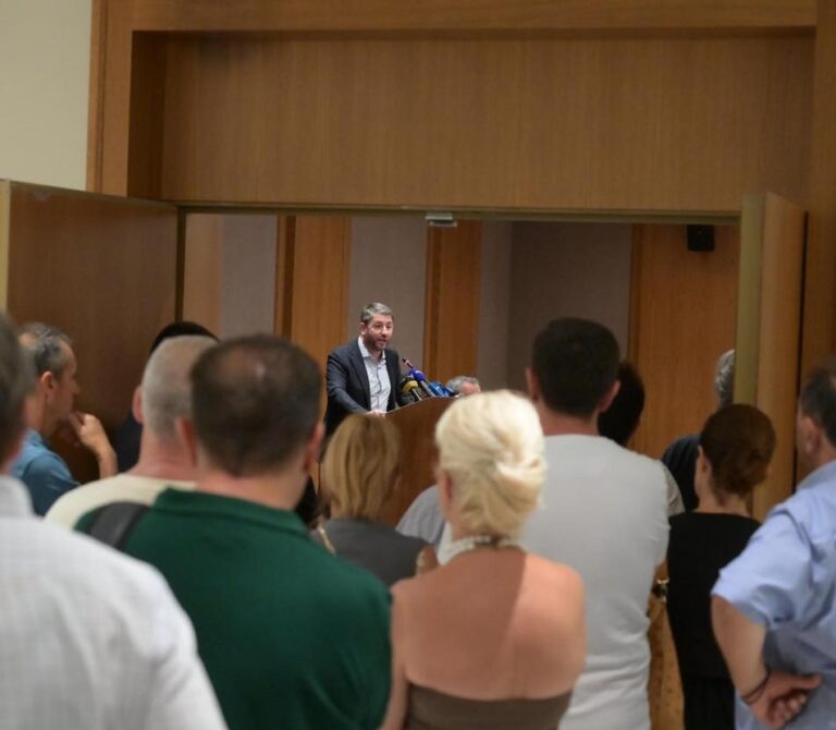 Ιωάννινα: Κριτική Ανδρουλάκη και Τζούφη για τα νοσοκομεία
