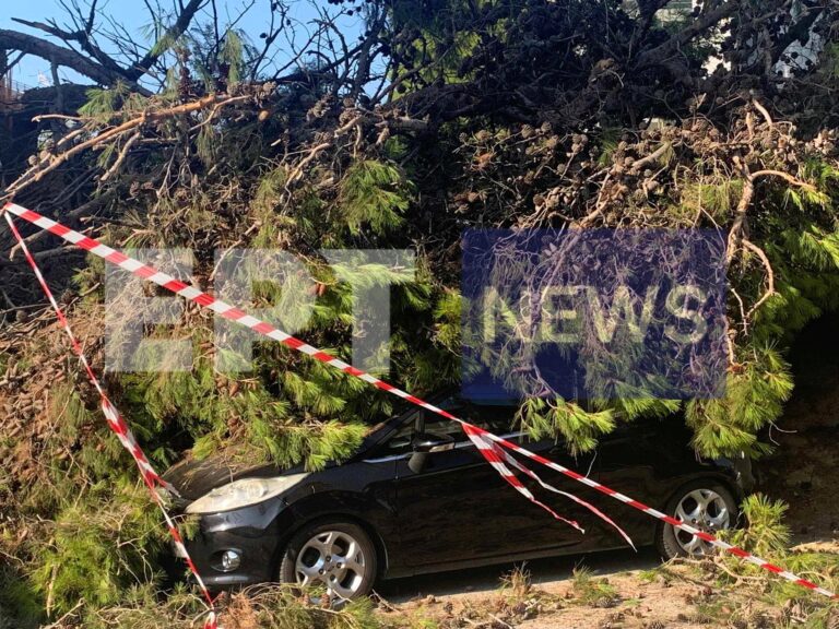 Ηράκλειο: Νέα πτώση δέντρου σε πολυσύχναστο δρόμο