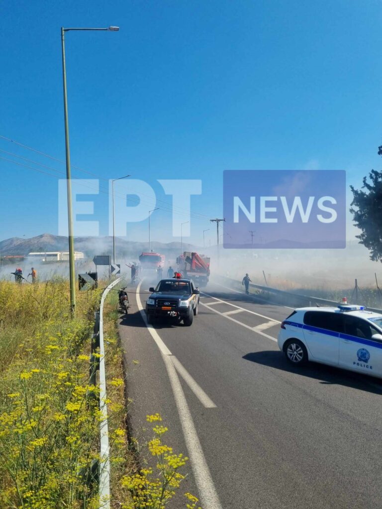 Τρίπολη: Χωρίς ενεργό μέτωπο η πυρκαγιά στην παλαιά εθνική οδό Τρίπολης -Σπάρτης