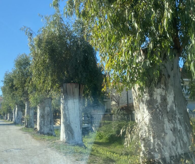Απόφαση του ΣτΕ για το έργο του Χάντακα στο Παράλιο Άστρος Κυνουρίας
