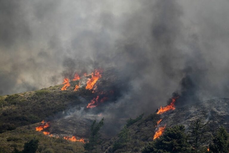 Φωτιά στην Κορινθία: Μεγάλη αναζωπύρωση στο Κούτσι Νεμέας 