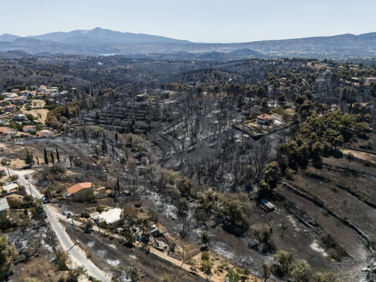 Σ. Κασσελάκης: Πρόσκληση στον Κυρ. Μητσοτάκη για οδοιπορικό στις πληγείσες περιοχές