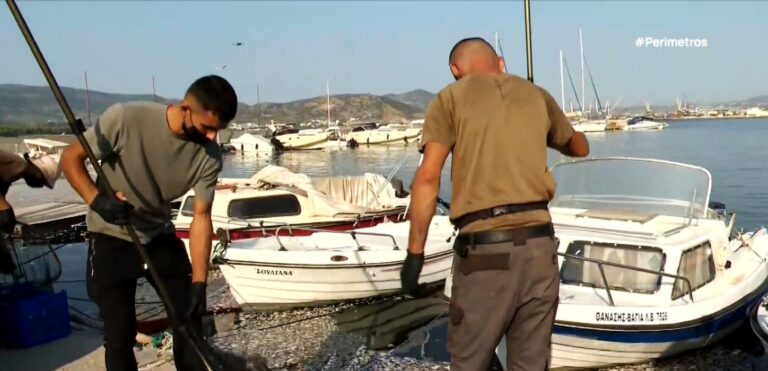 Επιχείρηση απομάκρυνσης των νεκρών ψαριών από την παραλία του Βόλου