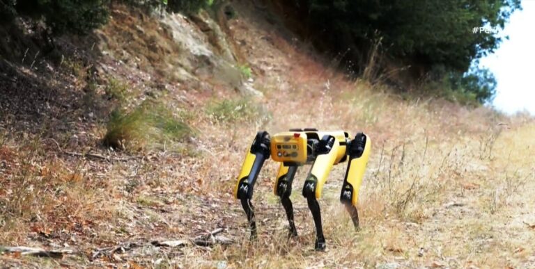 Ρομποτικός σκύλος και Drone για την προστασία των δασών 