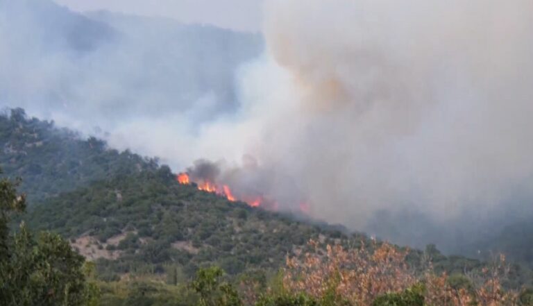 Σε εξέλιξη η πυρκαγιά στη Νέα Σάντα Ροδόπης