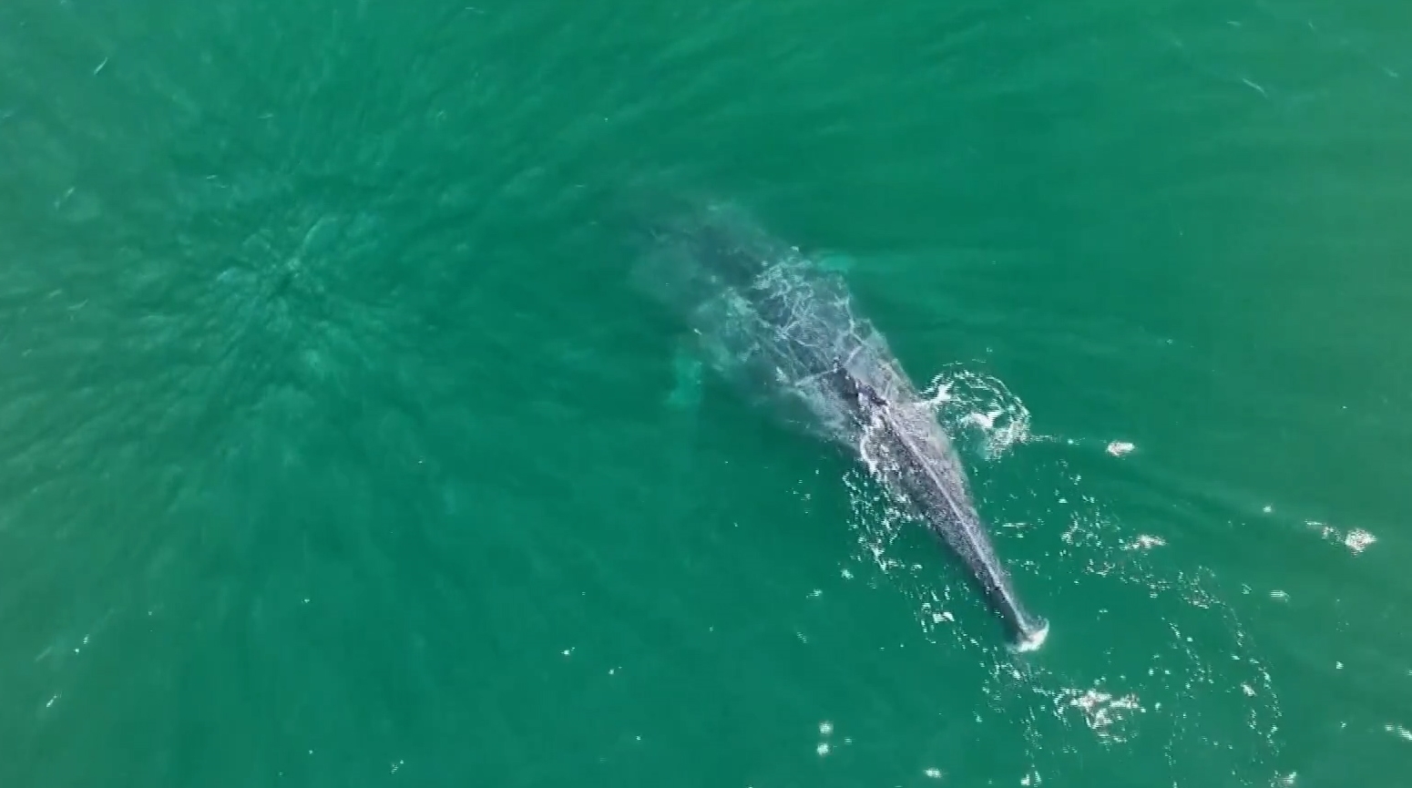 20240805-ENTHETO-KOSMOS11