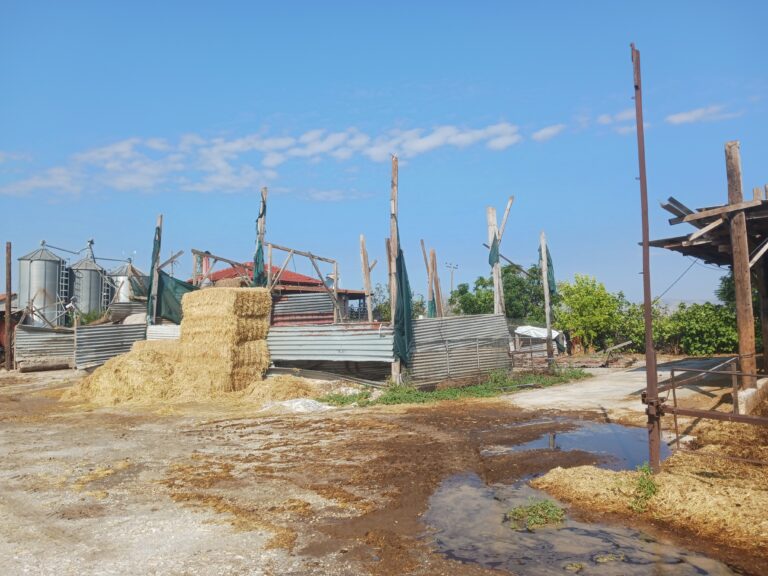 Ε. Λιακούλη για τις νέες καταστροφές από  τις χαλαζοπτώσεις: «Η Λάρισα και η Θεσσαλία δεν αντέχουν άλλο»