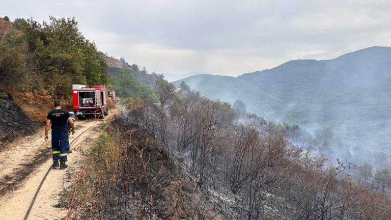 Φλώρινα: Κατάσβεση πυρκαγιάς στα Άλωνα – Οδηγίες της Πολιτικής Προστασίας