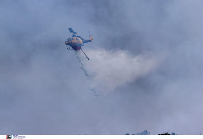 Πέλλα: Φωτιά σε δύσβατο σημείο στην Όρμα Αλμωπίας