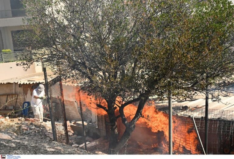 Βίντεο διάσωσης ηλικιωμένης από την ΕΛ. ΑΣ. – Αριθμοί έκτακτης ανάγκης: 112, 199 και 100