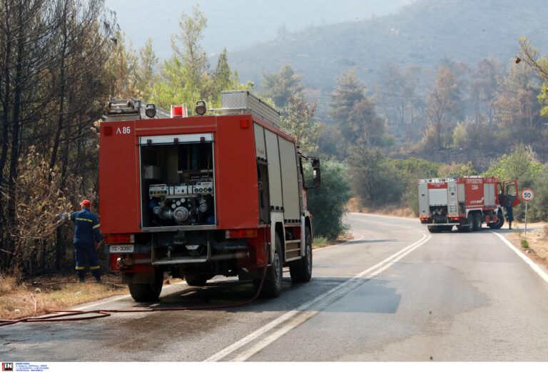 Πολύ υψηλός κίνδυνος πυρκαγιάς και σήμερα – Οκτώ περιφέρειες στην κατηγορία κινδύνου τέσσερα