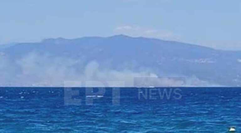 Έγκαιρη επέμβαση της Πυροσβεστικής σε φωτιά στην Δωρίδα