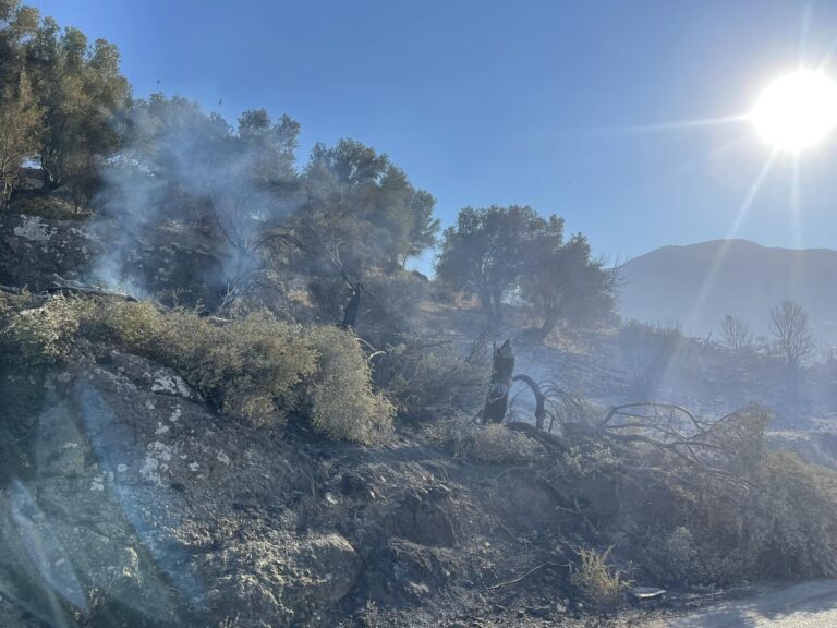 Σε κατάσταση έκτακτης ανάγκης κηρύχθηκαν Δημοτικές Κοινότητες του Δήμου Αμαρίου μετά την πυρκαγιά