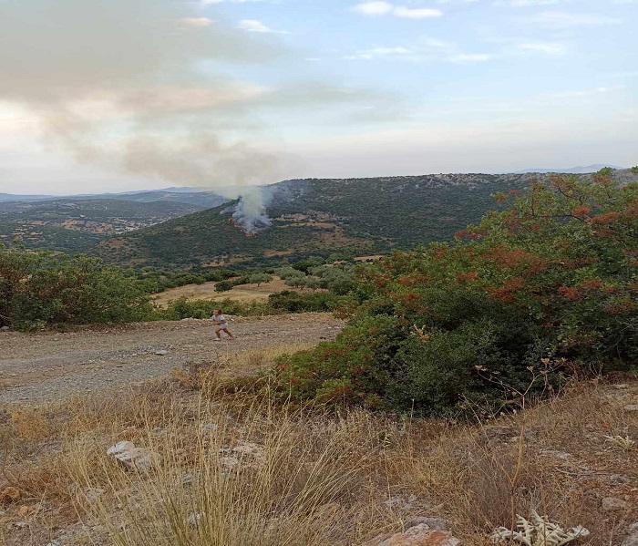 Πυρκαγιές σε Ναύπλιο, Aγρίνιο και Εύβοια