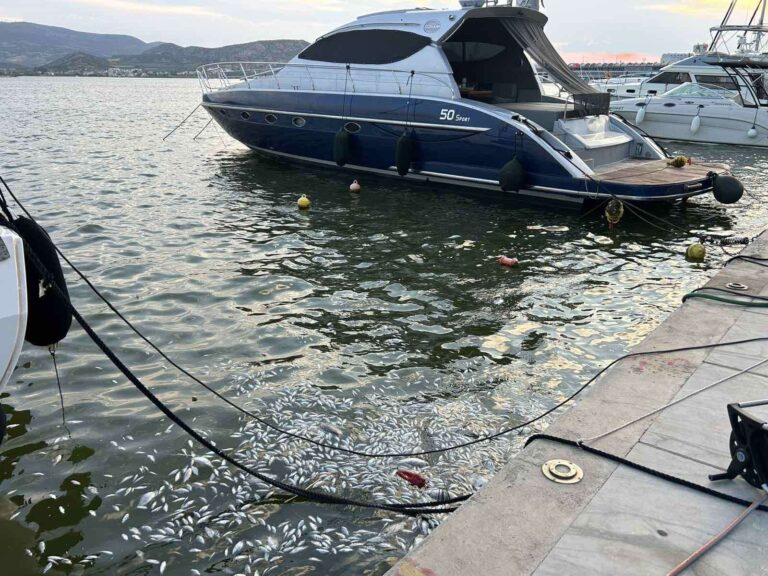 Μηνυτήρια αναφορά από τον Εμπορικό Σύλλογο Βόλου για τις οικονομικές επιπτώσεις από τα νεκρά ψάρια στον Παγασητικό