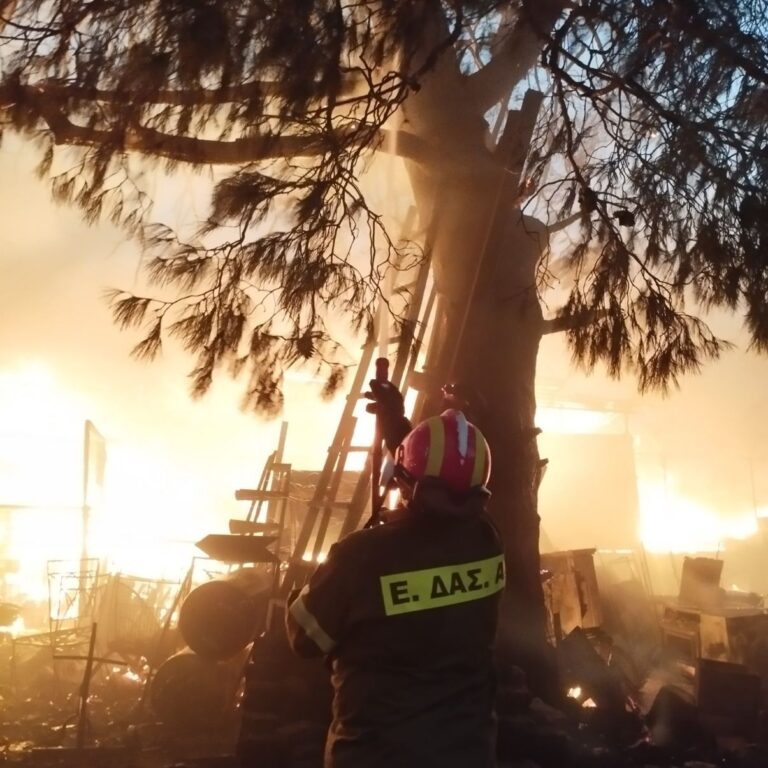 Από την Πάρνηθα έως το Βαρνάβα – Η πολύτιμη δράση των Εθελοντών Δασοπυροπροστασίας Αττικής