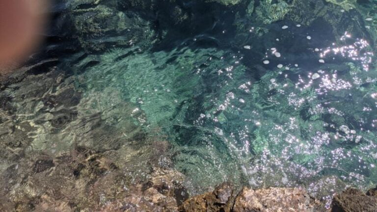 Μέγαρα: Έδεσαν πέτρα στο λαιμό σκύλου και τον πέταξαν στη θάλασσα – Εντοπίστηκε από ψαροντουφεκά
