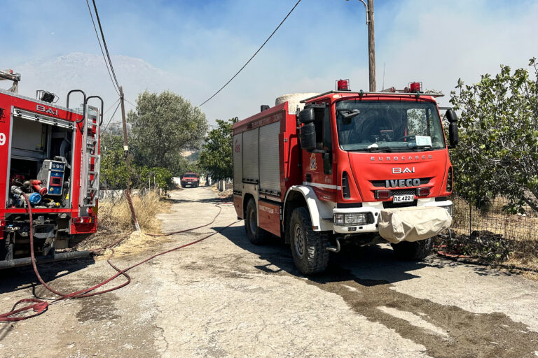 Πέλλα: Υπό μερικό έλεγχο η φωτιά σε δασική περιοχή στην Κρανέα