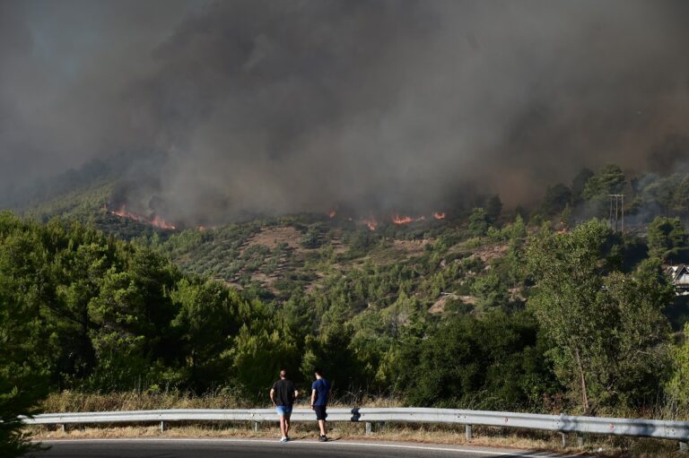 Περιφερειακό Συμβούλιο: Να ληφθούν μέτρα με αφορμή τις ζημιές από τη φωτιά στο δήμο Ξυλοκάστρου – Ευρωστίνης