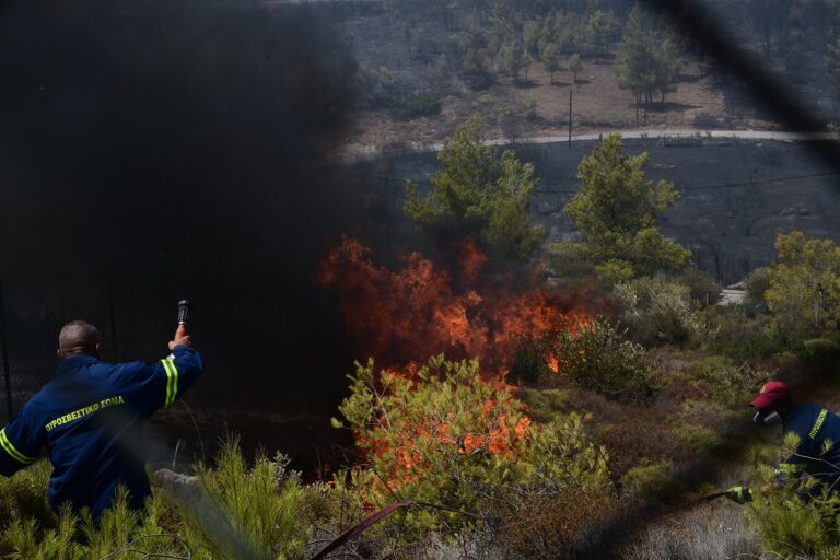Η Τουρκία προσφέρεται να παρέχει βοήθεια για τις πυρκαγιές