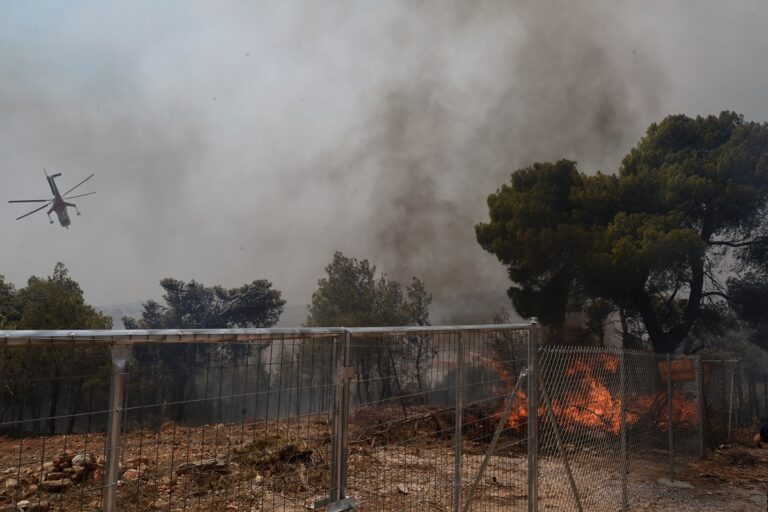 Μήνυμα 112 για εκκένωση στο Σπατατζίκι Μαραθώνα – «Απομακρυνθείτε μέσω Λεωφόρου Τραπεζούντος προς Άγιο Στέφανο»