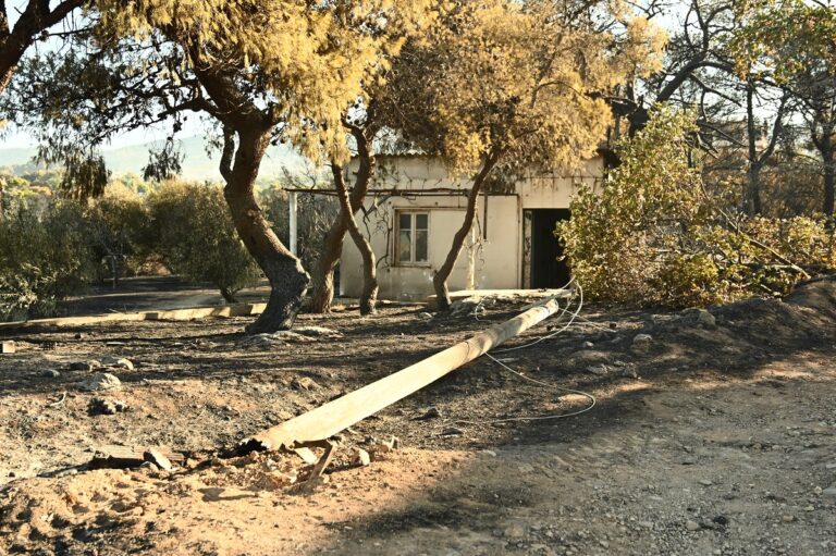 Φωτιά στη ΒΑ Αττική: Χωρίς ενεργό μέτωπο – Ενίσχυση των ανέμων, το μεσημέρι και νωρίς το απόγευμα οι μέγιστες εντάσεις